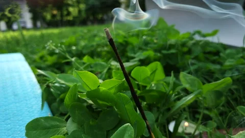 Incense stick on grass background at park Stock Footage 113179657