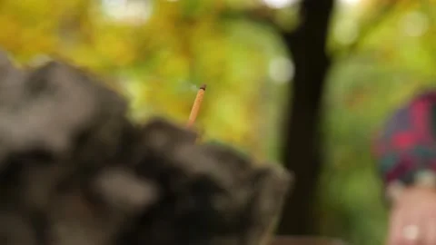Incense stick smokes against the background of green-yellow autumn foliage Stock Footage 220415403