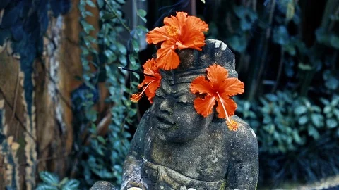 Incense sticks Stock Footage 104459669