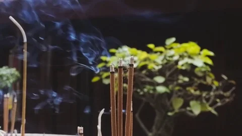 Incense sticks with smoke Stock Footage