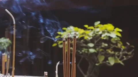 Incense sticks with smoke Stock Footage 74184883