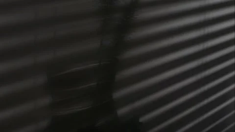 Incident light falls through the window blinds. light moves along the wall. Stock Footage 242946429