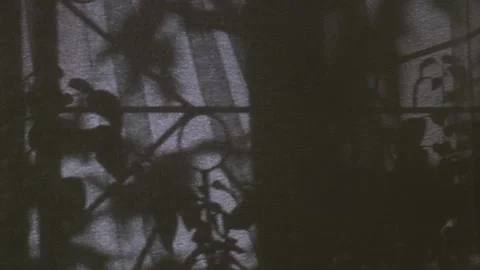 Incident moon  light from  window moves along wall,  shadow of  window curtains. Stock Footage 164624241