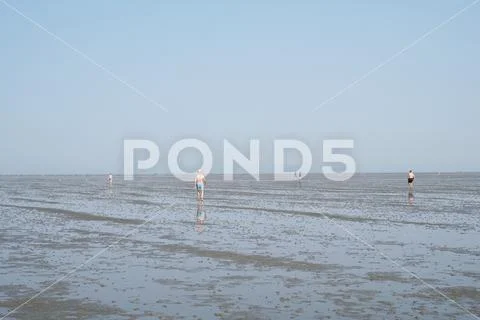 Incidental people walking across mudflat tideland at ebb tide in Cuxhaven Stock Photos