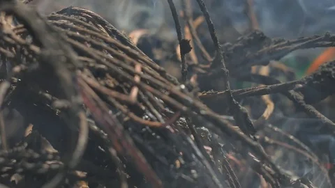 Incineration of waste. Stock Footage 80086217