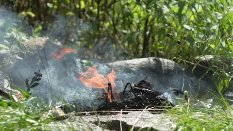 Incineration of waste. Video stock 80086358