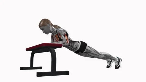 Incline  diamond push up bench exercise fitness workout animation female muscle Stockbeeldmateriaal 227560571