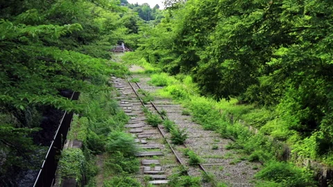 Incline Видео 330585101