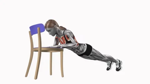 Incline push ups on chair exercise fitness workout animation female muscle Stockbeeldmateriaal 227560598