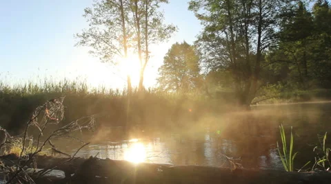 Including water elements Stock Footage 51235740