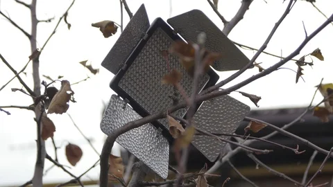 Inclusion Light LED on the Tree Stock Footage 101435823