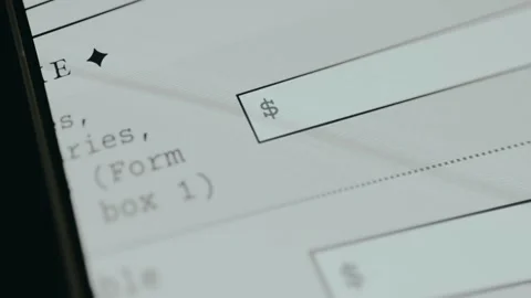 Income section of the IRS Form 1040, taxpayer reports the amount of earnings Stock Footage 333404061