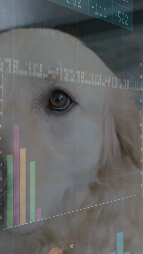 Incoming data updating, dog head turning, bars, pie, ticker sliding across eye Stock Footage 333079786