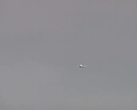 Incoming flight Stock Footage