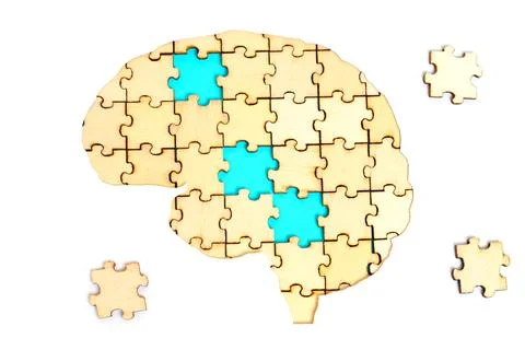 Incomplete Brain Shape Puzzle with Some Pieces to Set in Place Stockfoto's