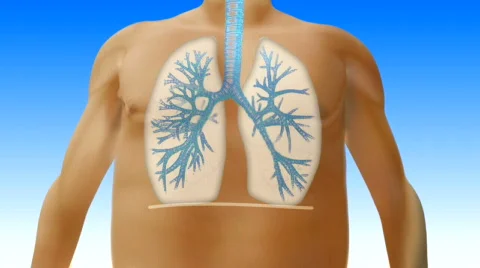 Incorrect breath Vidéo 531226