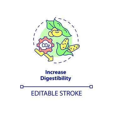 Increase digestibility concept icon Stock Illustration