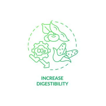 Increase digestibility green gradient concept icon Stock Illustration