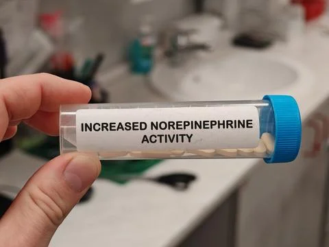 INCREASED NOREPINEPHRINE ACTIVITY for depression anxiety insomnia epilepsy pain Foto stock
