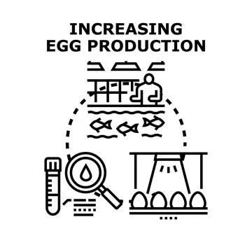 Increasing egg production process line concept 库存插图
