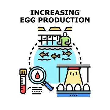 Increasing egg production process line concept 库存插图