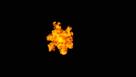 Increasing of fire Stock Footage 100645689