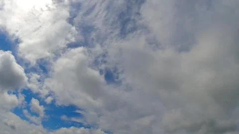 Incredible 4K Time-Lapse of Fast-Moving Birds in a Vibrant Cloudy Sky Stock Footage 328245239