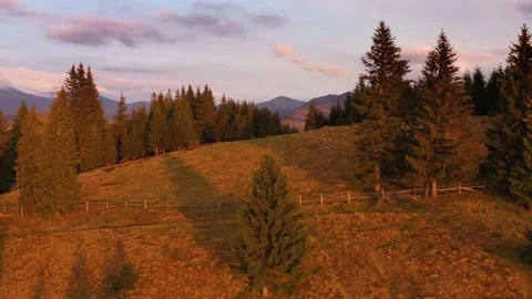 Incredible Aerial shot of forest in fall season. Epic Aerial Flight Over autumn Stock Footage 142969002