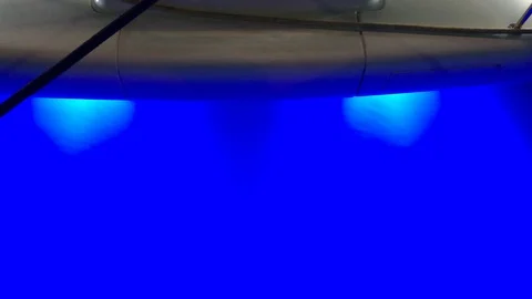An Incredible blue, two lights and small fishes Stock Footage 90097909