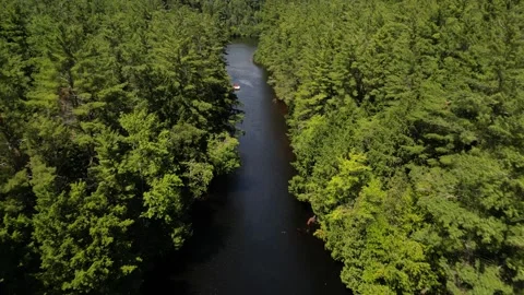 Incredible Drone view flying down river to Wilsons Falls (Bracebridge, Musko Stock Footage 314233940