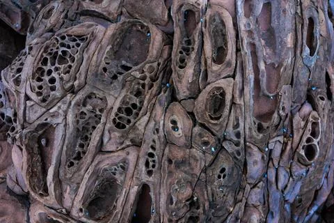 Incredible erosion patterns on rocks along the shore, Thailand Stockfoto's