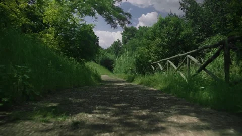 An incredible first-person view of someone walking in a park Stock Footage 335388922
