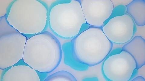 Incredible ink-in-liquid effect. White and blue. The whate balls grow and spread Stock Footage 164481960