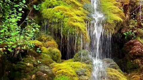 Incredible jungle  waterfall Vidéo 7130774