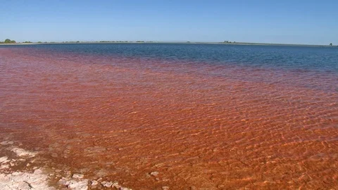 Incredible red pond inside the lagoon of Christmas atoll. Stock Footage 104937667