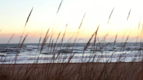 Incredible scenery of wind and waves at the beach Stock Footage 232906132