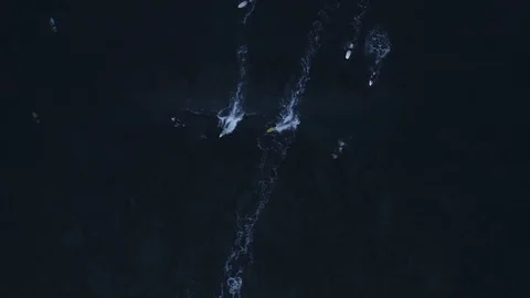 Incredible top down view of slow motion surfers catching rolling wave Stock Footage 112702103