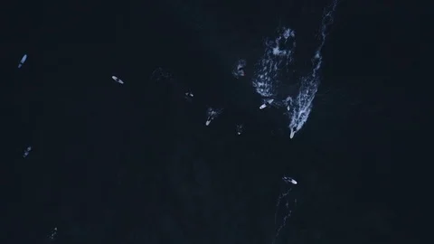 Incredible top down view of slow motion surfers catching rolling wave 2 Stock Footage 112702512