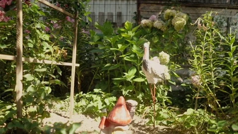 Incredibly beautiful different flowers open in the garden in a private house in Stock Footage 259829121