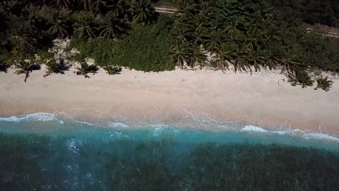 Incredibly beautiful empty beach in Samoa 库存影片 97566500