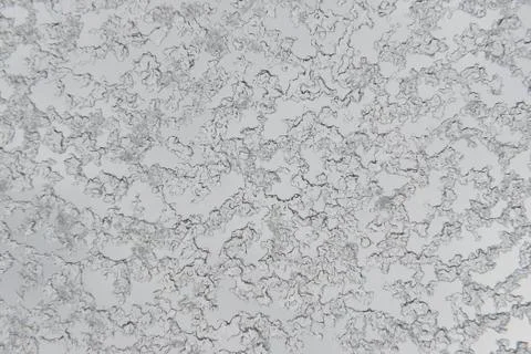 Incredibly beautiful patterns Stock Photos