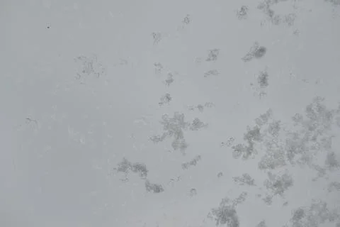 Incredibly beautiful patterns Stock Photos