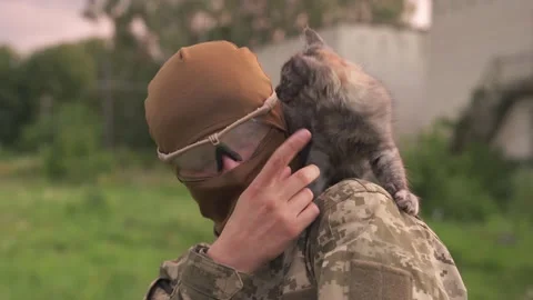 Incredibly cute video of a soldier playing with the  kitten outdoors. Stock Footage 201716433