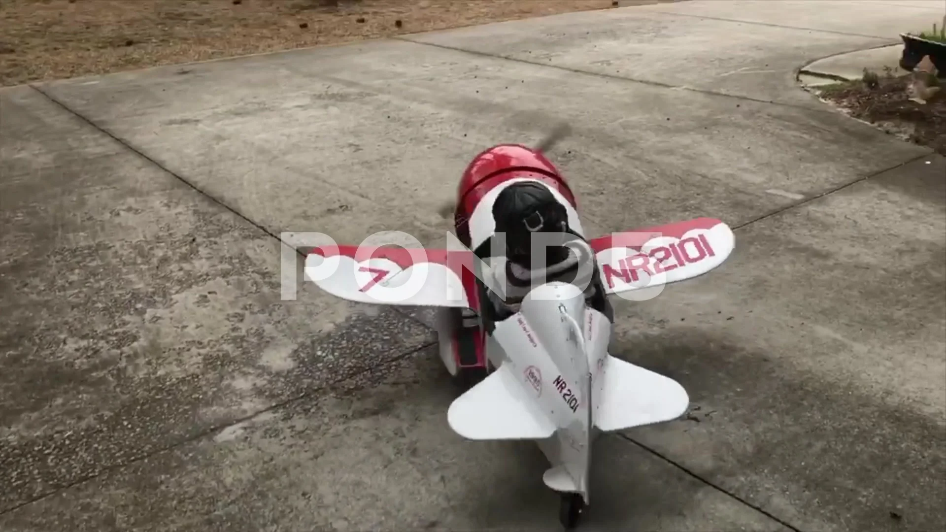 Gee bee r2 pedal hot sale plane