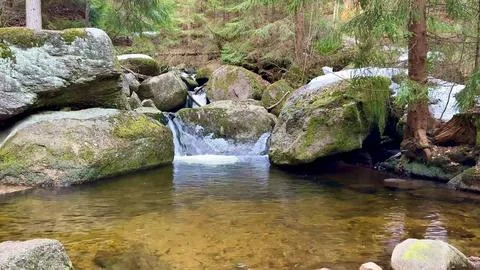 An incredibly Serene Mountain Stream that features a Tranquil Flowing Water.. Stock Photos