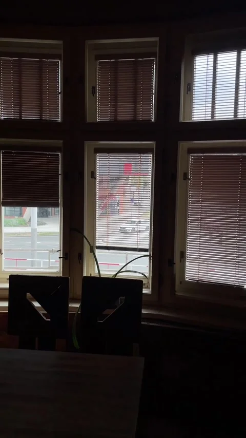 Incremental opening venetian blind in six-pane window revealing street view Stock Footage 344881798