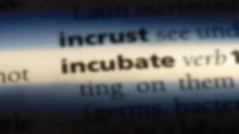 Incubate word in a dictionary. Stock Footage 99561092