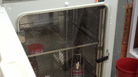 Incubator for blood tests Stock-Footage 147195117