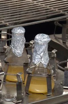 Incubator Stock Photos