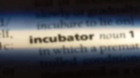 Incubator word in a dictionary. Stock Footage 99561103